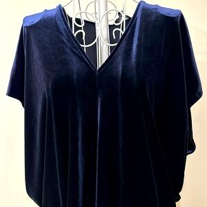 Blue Velvet blouse